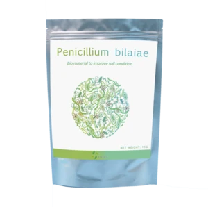 Biological Fertilizer Penicillium citrinum effective soil inoculant