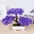 Import Bonsai tree plant artificial plant with vase artificial pine tree from China
