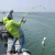 Carbon pole fiber fishing rod for fishing