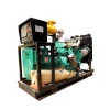 CE certification 30kw power natural gas electricity generator for sale