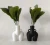 Ceramic Body Shape Vase Home Decor