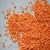 Import Certified Quality Split Red Lentils &amp; Red Whole Lentils from China