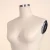 Import cheap Half Body Dress Form tailoring mannequin for dress maker mannequin torso from China