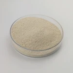 Cheap lysine animal feed additive