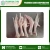 Import Chicken Feet and Paw at Cheap Price from India