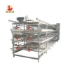 chicken raising line for poultry breeding production line