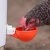 Import Chicken Waterer Cups Automatic Refill Poultry Drinker (Non Float and Non Peck Type) from China