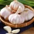 Import Chinese  fresh purple garlic high quality from China