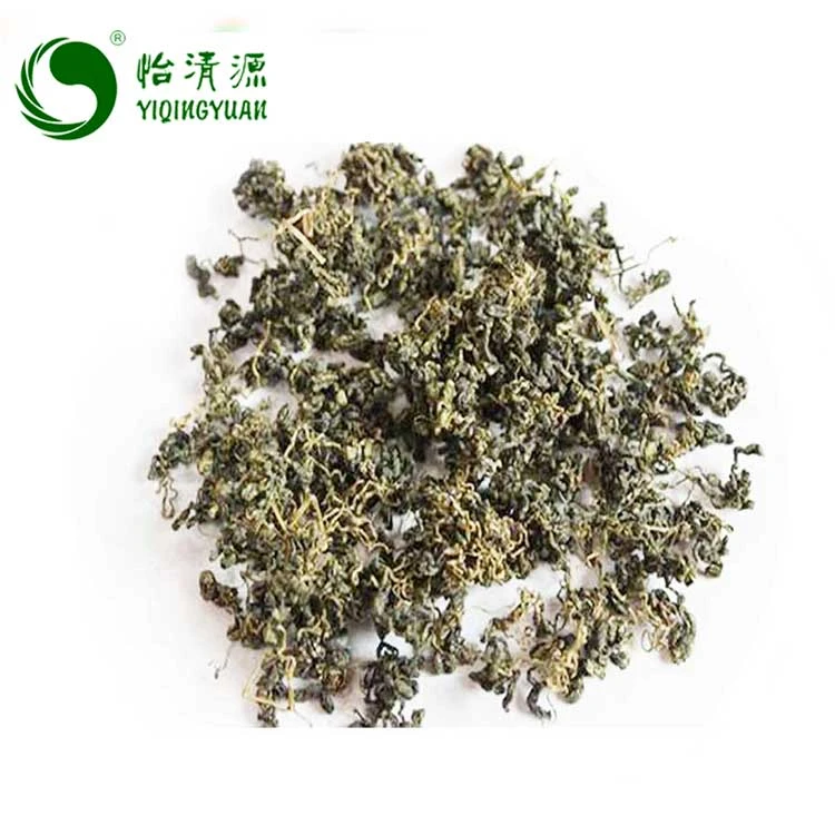 Chinese Natural Gynostemma Pentaphyllum Tea Leaf Herbal Tea Infusion Jiaogulan