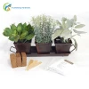 Chocolate Colored 3 Set Metal Herb Garden Containers with Tray