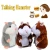 Import Christmas Cheeky Hamster Talking Pet Soft Toy  recording toys Xmas Kid Gift High Quality Hamster Villus plush doll,decorations from China