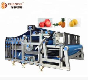 Citrus Fruit Juicer Extractor, Self Service Carrot Orange Juice Extractor Machine