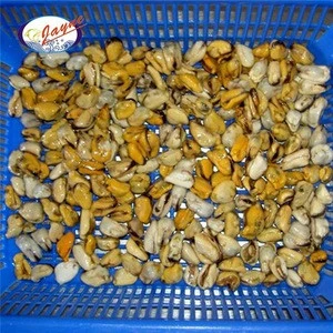 Clam Meat in Shellfish with good quality and cheap price