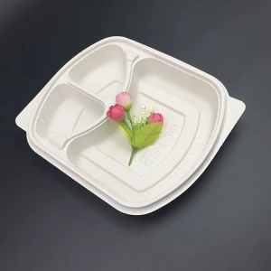 clear biodegradable degradable food packaging bowl corn starch dish plate