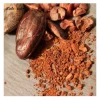 Cocoa Bean Price Malaysia High Quality Raw Cocoa Bean Ghana Organic Cacao Bean