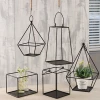 Creative and simple geometric iron decoration, hanging style flower holder decoration, Nordic home decoration