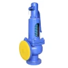 Custom Logo DIN Spring Loaded Pressure Safety Valve DN65/100 Safe Type Valves steam boiler safety valve