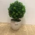 Import custom Succulent cactus desktop decoration lavender bonsai artificial plant potted with Cement basin from China