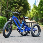 customized 3 wheel cargo 48v 500w electric tricycle mobility scooter for handicapped made in china