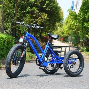 customized 3 wheel cargo 48v 500w electric tricycle mobility scooter for handicapped made in china
