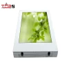 Direct Manufacturer supply 55 inch advertising media player lcd monitor usb media player for advertising