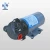 Import DP high pressure ro diaphragm water pump small 24v dc water pump from China