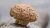 Import dried  shiitake mushroom from China