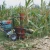Import easy operated tractor mounted napier grass cutter small cutting machine used harvest sweet corn maize sugarcane harvester from China