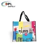 Eco Friendly Recyclable Customized print promotional non woven bag pp non woven shopping bag printing