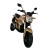 Import Electric Motorcycle with Disk Brakes (EM-006) from China