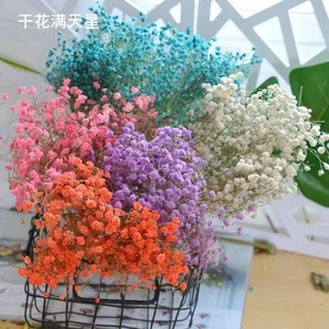 Factory price bulk dried ried flowers wholesale dried flowers cotton