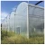 Import Factory Price Multi Span Agriculture Film Greenhouse Commercial Plastic Film Greenhouse from China