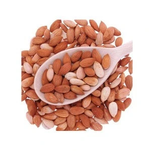 FACTORY SALE AGRICULTURE APRICOT KERNEL FOR SALE