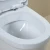 Import factory supply s trap type siphonic one-piece toilet from China
