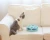 Factory Wholesale Interactive Cat Toy  Electronic Cat IQ Training Toy Automatic Pet Toy for Cat Hexagon Maze Box