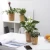 Import Fashion  painting flower pot office flower pot living room plastic pot from China
