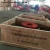 Import Fire Hose Angle Valve Equipment from China