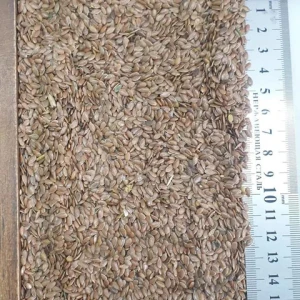 Flax seed wholesale high quality product flax seeds linseed for sale