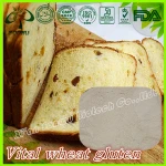 Food grade vital wheat gluten/wheat gluten