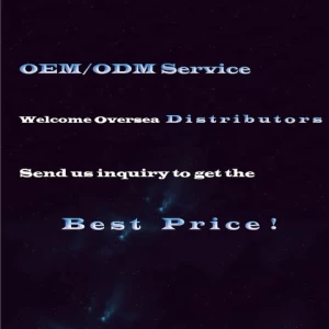 Free Shipping ODM/OEM HIFI class a design 300W power audio digital ehco surround sound high quality music dual channel amplifier