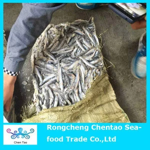 fresh anchovies that can be made caned anchovies and also can be raw salted anchvoies