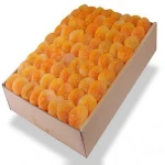 Fresh apricot, dried apricot,Sweet Apricot from Factory