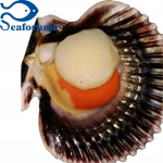 Fresh High Quality IQF Frozen Half-shell Scallops Roe On Patinopecten Yessoensis