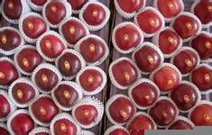 fresh huaniu apple in carton packing export standard