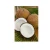 Import Fresh Mature coconut from South Africa
