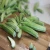 Import Fresh Okra Lady Finger /Fresh Green Okra/Okro For Sale from China