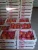 Import Fresh Red/Sweet pomegranate/ pomegranate wonderful /fresh fruit of pomogranate HOT from Egypt