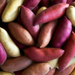 Fresh Sweet Potatoes