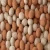 Import Fresh Table Eggs( White Shell Chicken Eggs) from China