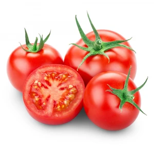 Fresh Tomato , Cherry Green Tomato , Fresh crop for sale ready to export